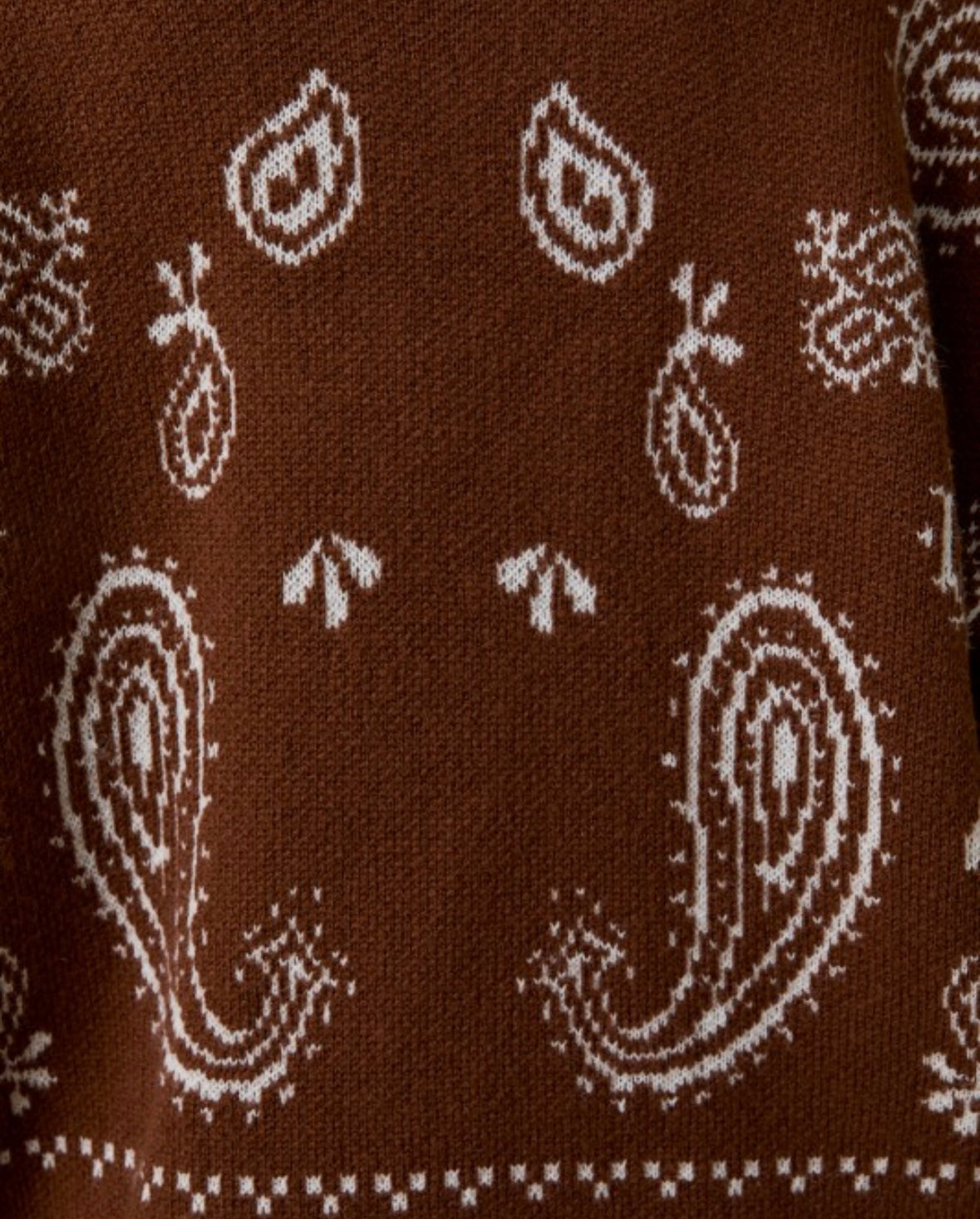 Paisley Cardi (CURVY) LOL L